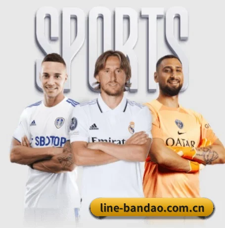 本站五个常用功能入口,赛程查询路径更短 - bandao