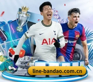 我们在做什么(bandao)